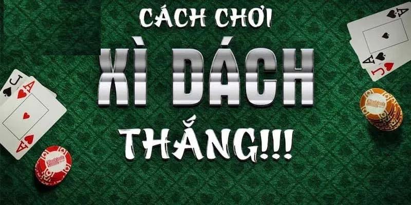 Bí quyết chơi Xì dách tại SHBET dành cho người mới